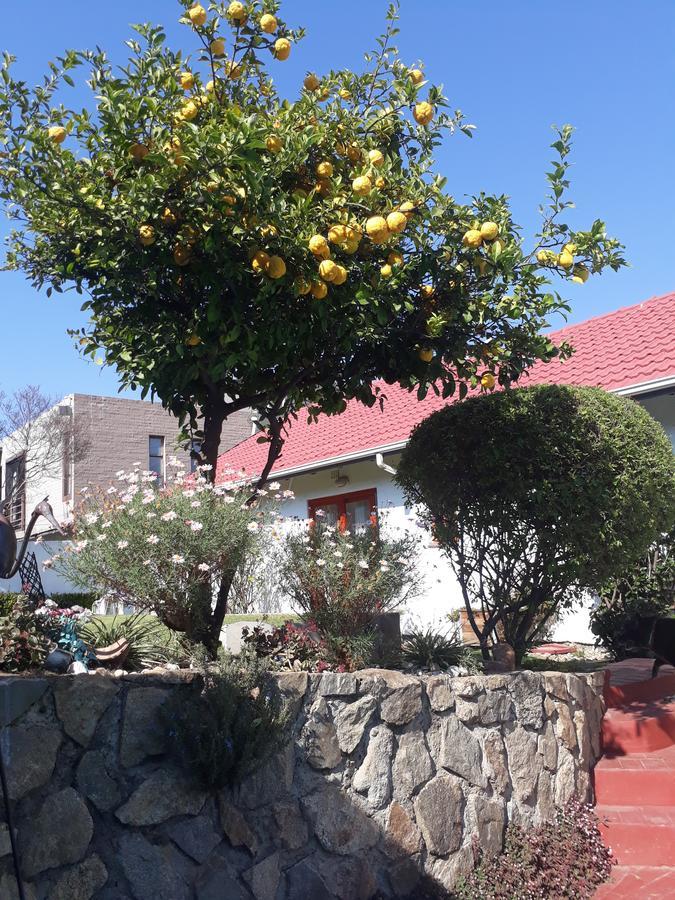 Mizizi House Of Sandton B & B Johannesbourg Extérieur photo